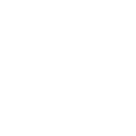 Audi_2x